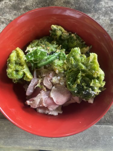 ジャングル山菜オオタニワタリと栄養満点の海藻アオサでお手軽クッキング